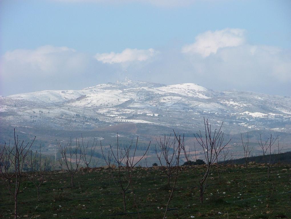 Hotel Oca Douro Valley And 4*